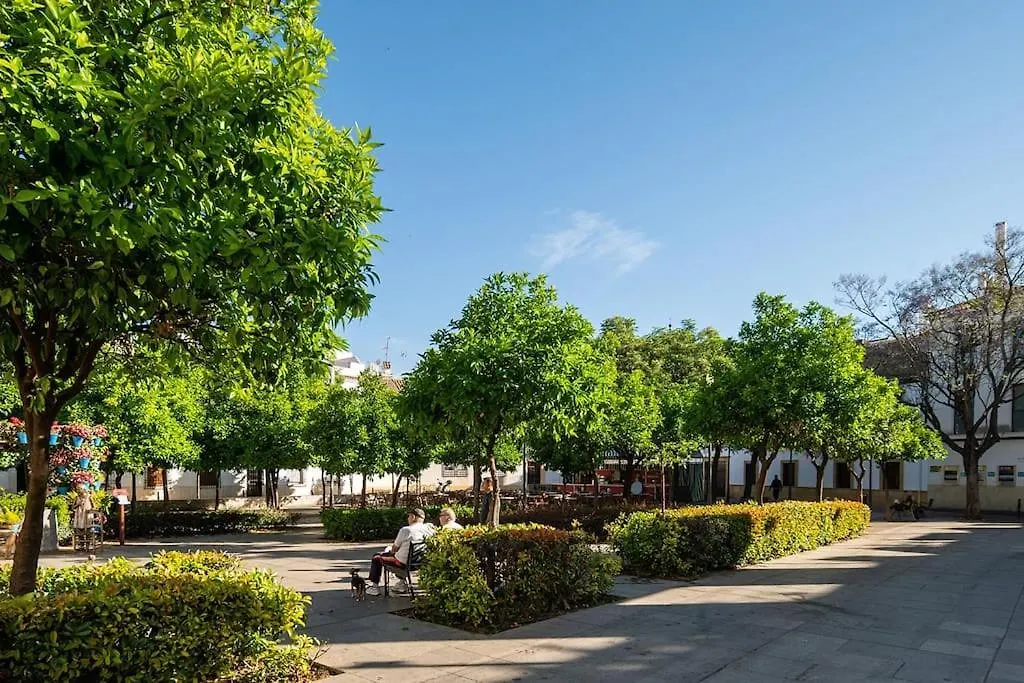 Apartamentos Premium - Arcos De Medina 202 Cordoba