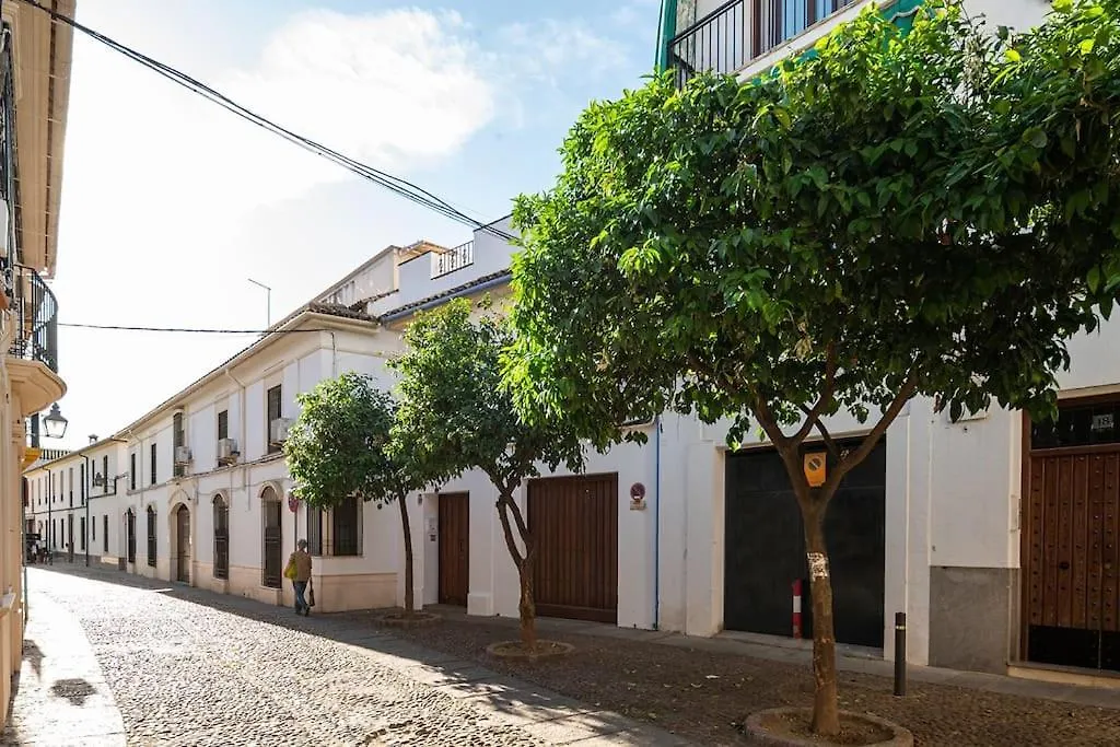 Apartamentos Premium - Arcos De Medina 202 Cordoba 0*,