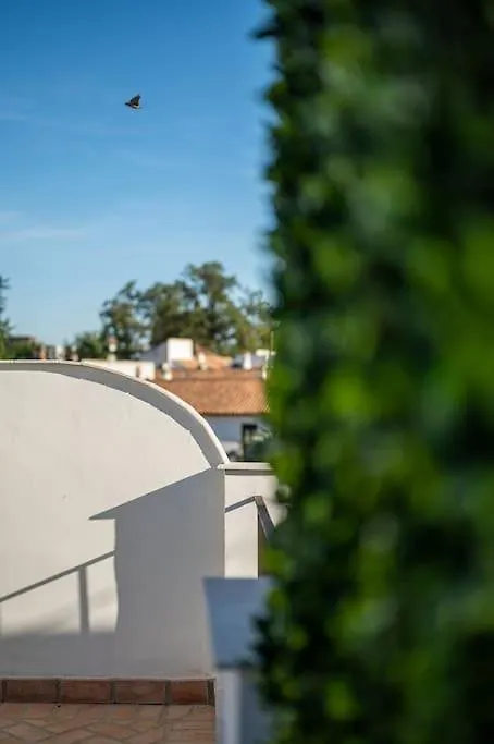 Apartamentos Premium - Arcos De Medina 202 Cordoba Spain